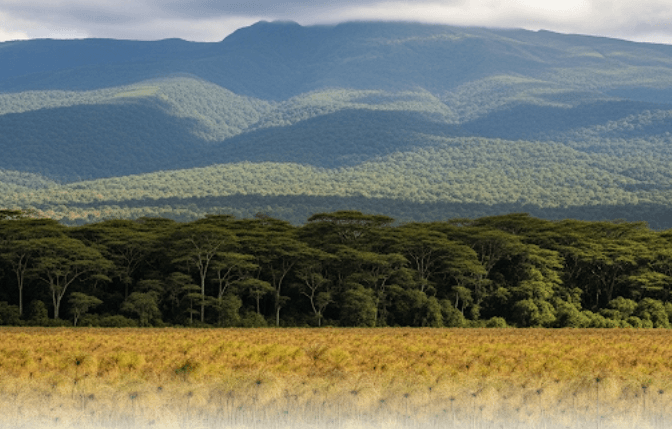 MSHENGA: Biodiversity conservation deserves prime-time attention