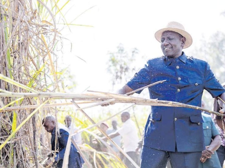 Ruto’s sugar reforms: Make or break in Nyanza, Western