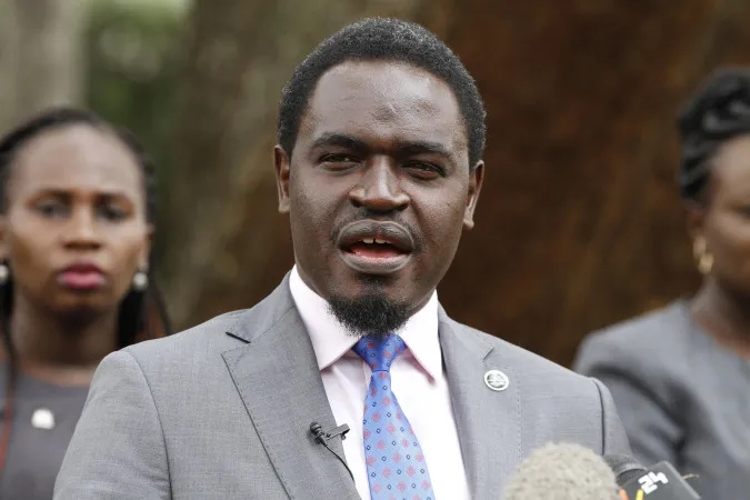 Karua's detention: President Ruto should take it up with Suluhu - Havi