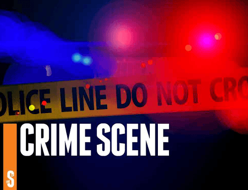Stealing, offenses against persons are most reported crimes in 2024
