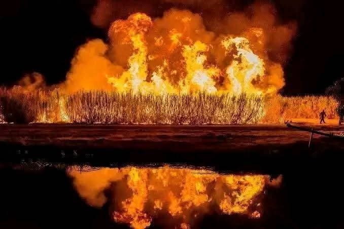 Fire engulfs acres of sugarcane plantation in Angata