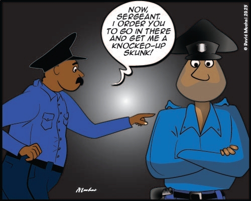 JIJI NDOGO: Pursuit of a skunk turns matters stinky