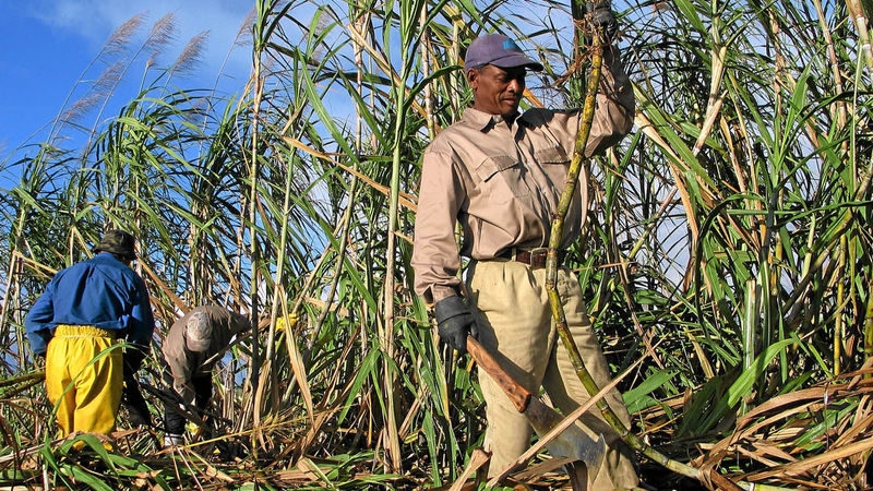 Farmers turn heat on politicians opposing lease of sugar factories