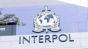 Interpol unveils tool to help combat transnational organised crime