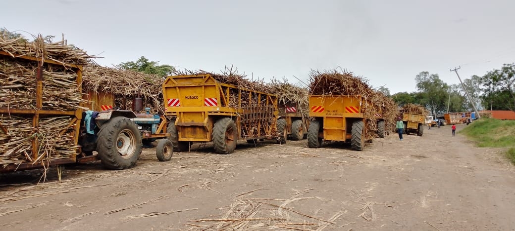 Farmers to stage protest over irregular sugar factories leasing