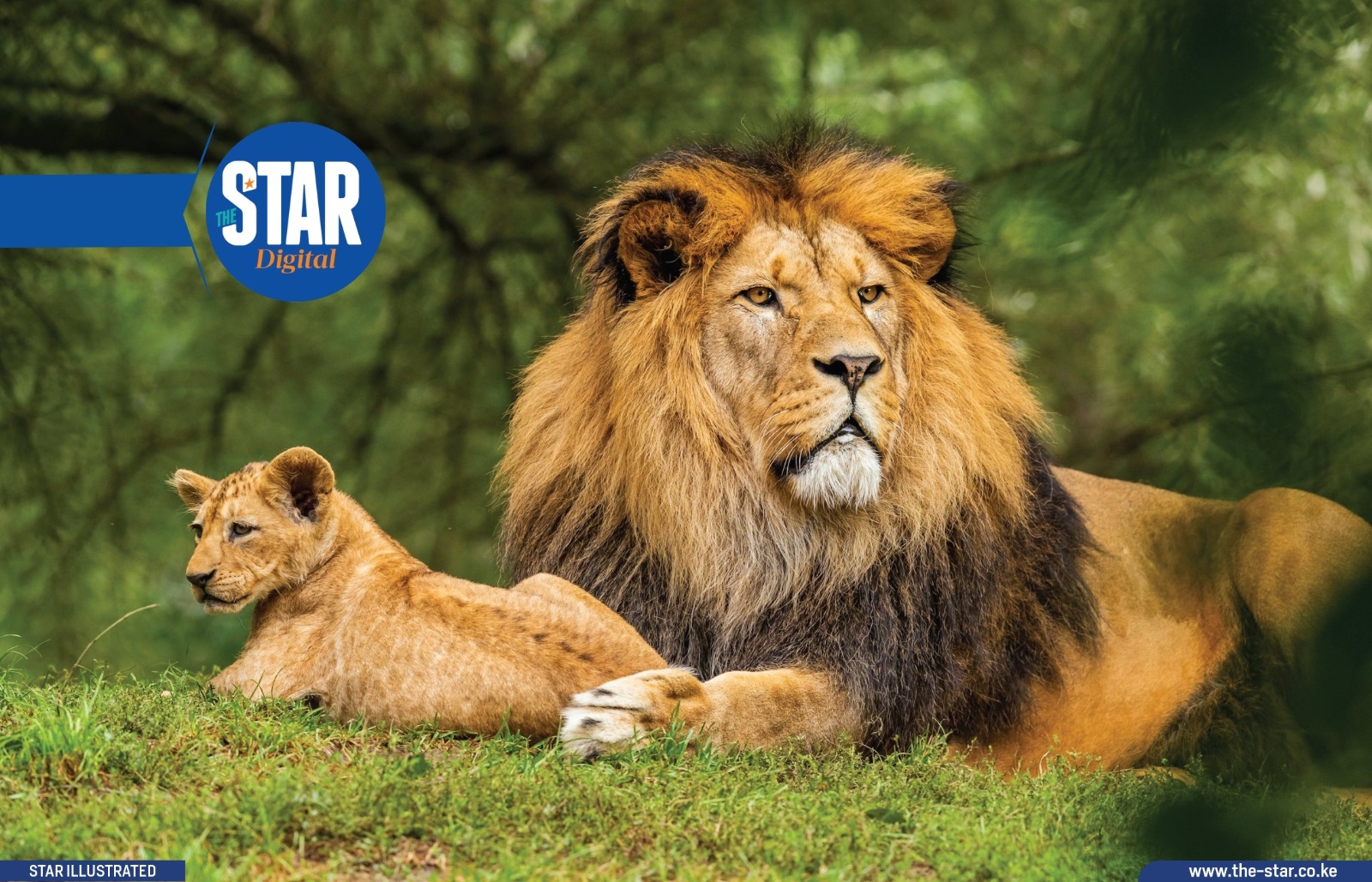 What government is doing to address Human-Wildlife Conflict