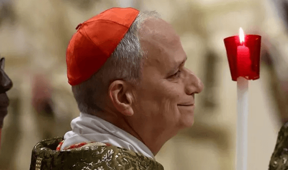 Robert Prevost elected new Pope