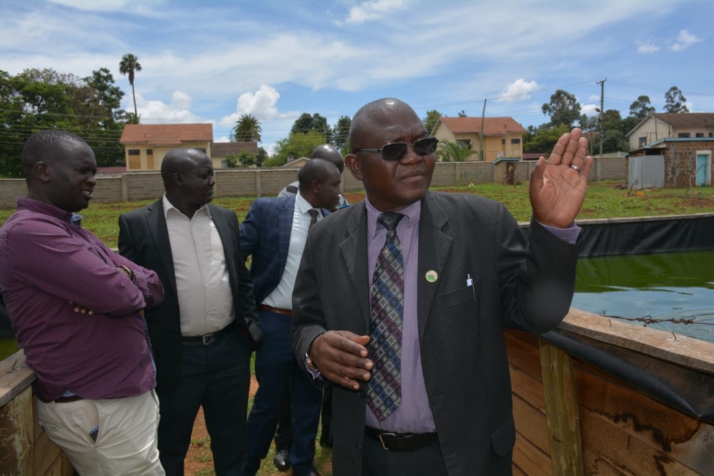 Over 4,000 farmers take up fish farming in Uasin Gishu