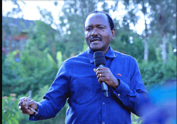 Ruto allies tell off Kalonzo over IEBC reconstitution