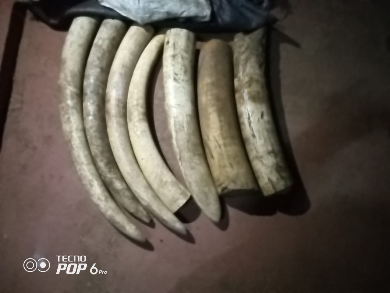 Ivory worth Sh4m recovered after shootout in Maralal