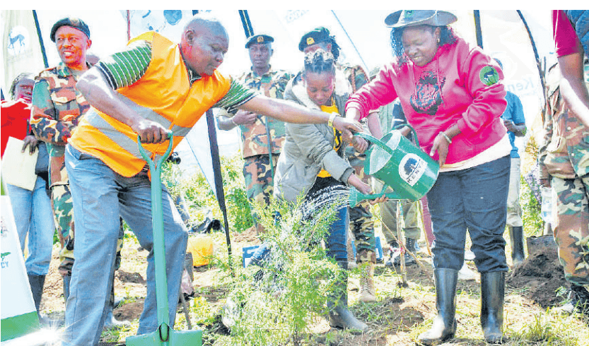 Kinale community foresters green their way out of poverty