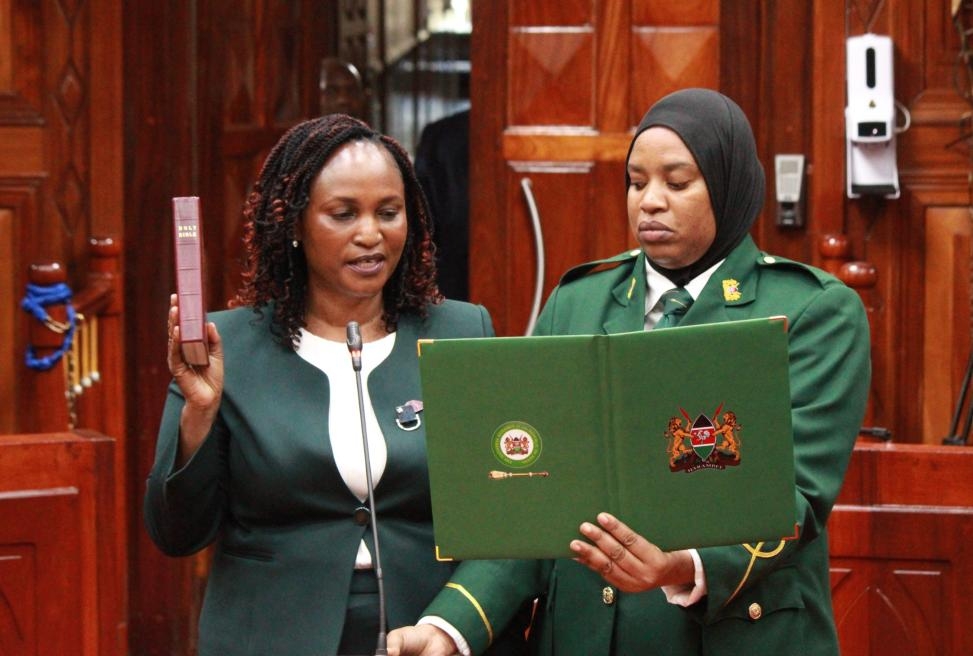 I'm worth Sh138m - IEBC nominee Anne Nderitu