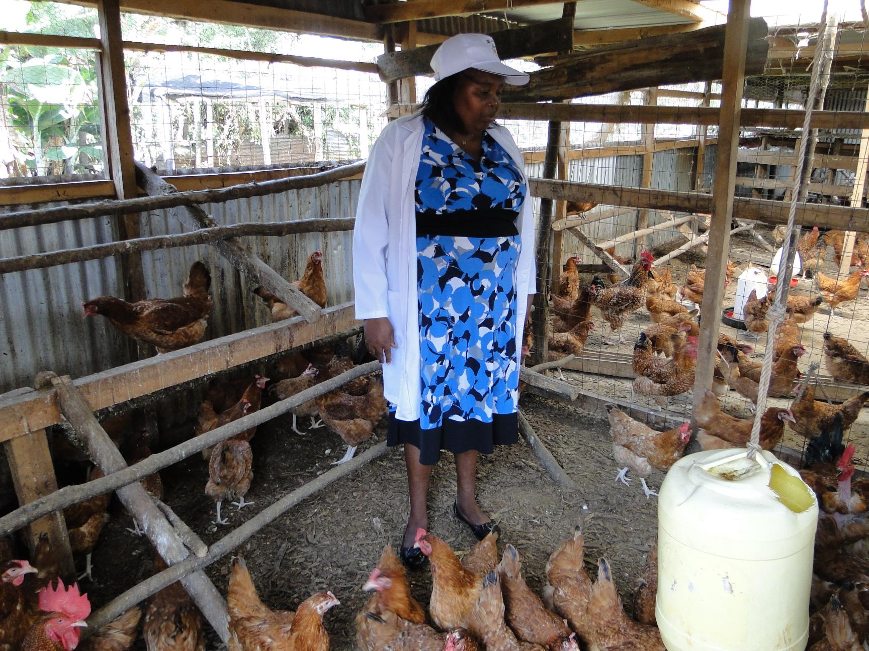 From 300 chicks to 10k: Farmer thriving in Bomet
