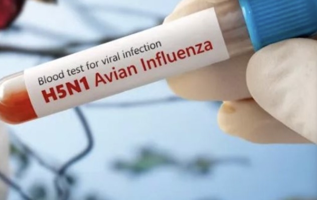 Hong Kong researchers develop needle-free flu vaccine with broad protection