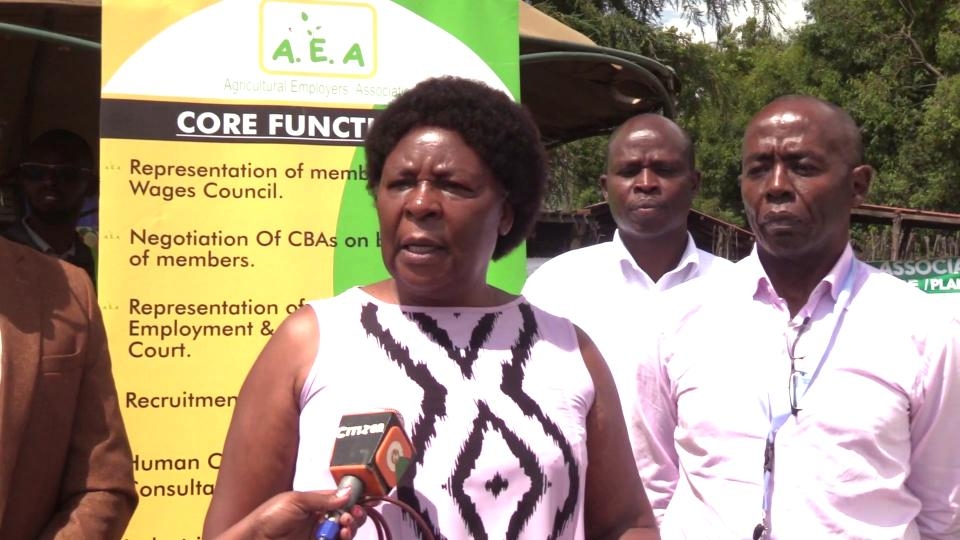 Stigma hampering fight against GBV in flower farms