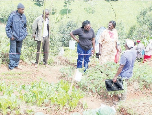 Hunger for wholesome foods rises as illnesses soar