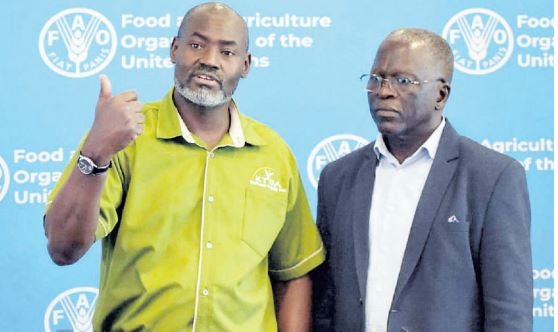 Low-carbon tea to double Kenya’s export earnings