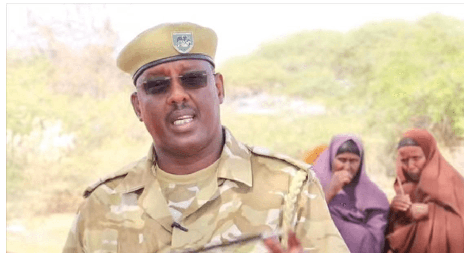 Poachers from Somalia threat to giraffes, say Wajir residents