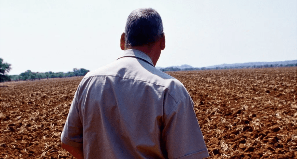 Zimbabwe still divided over land 25 years after white farmers evicted