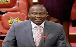 MPs pay tribute to Ngugi wa Thiong'o