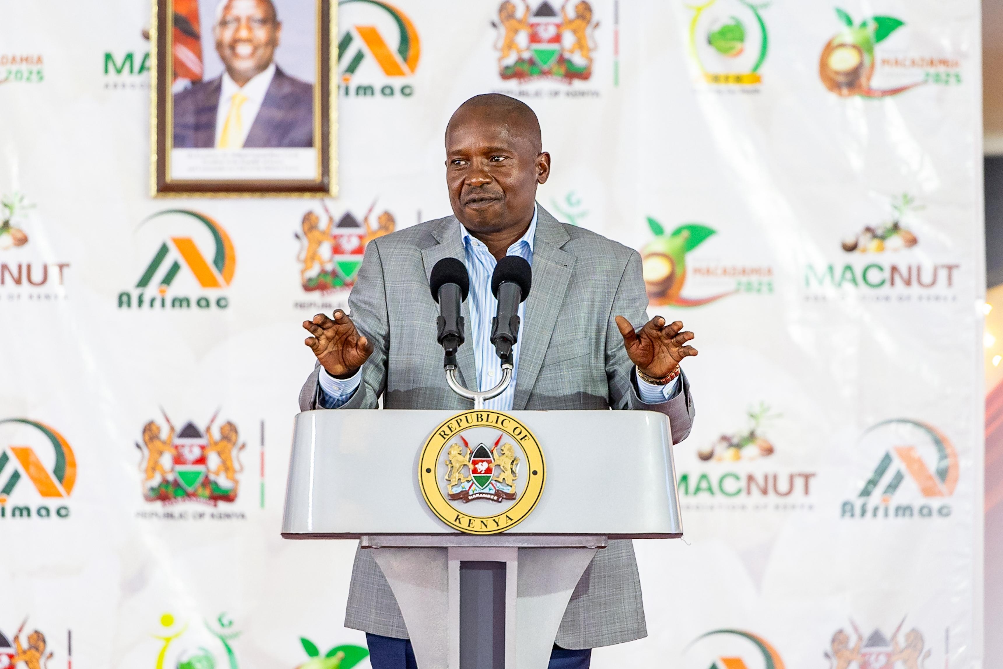 Kindiki: Steps underway to cut macadamia production costs