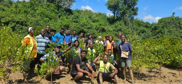 Youths making a big ripple in drive to restore mangrove