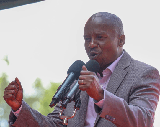 DP to Gachagua: We'll ignore you for now, but...