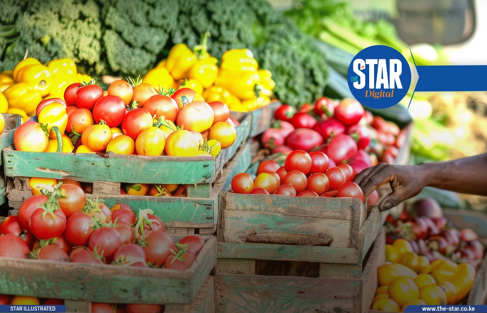 Factors affecting marketing/sale of farm produce in Kenya