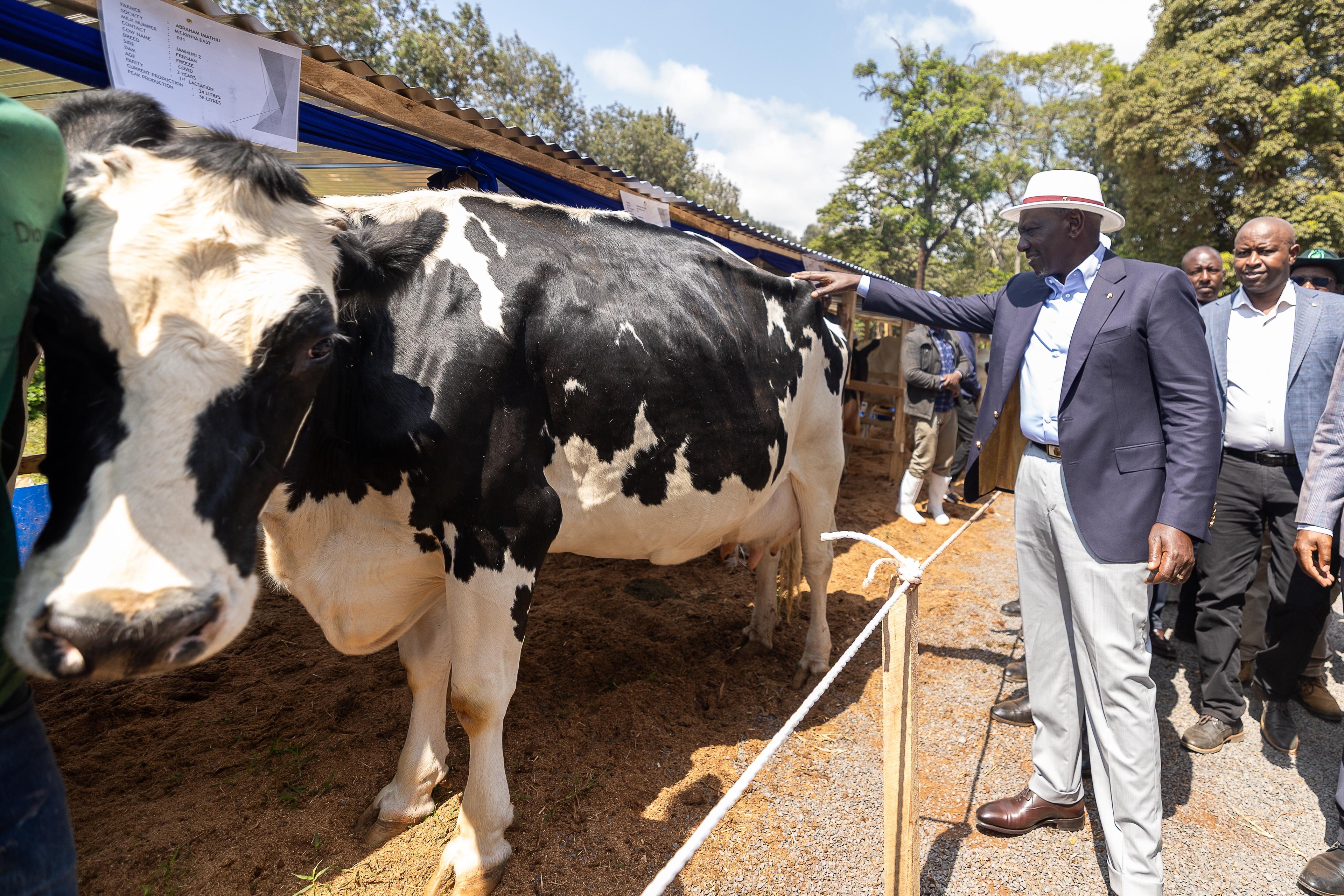 [PHOTOS] Ruto graces 10th Dairy Farmers Field Day