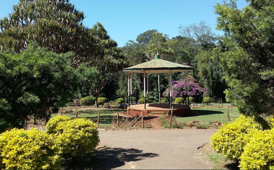Plans to revamp City Park to green space gain traction