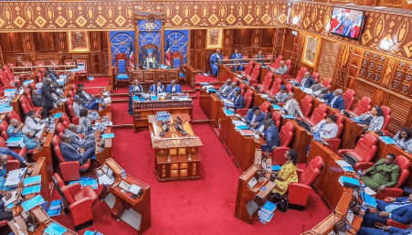 Parliament Review:  MPs demand action after Ojwang’s death