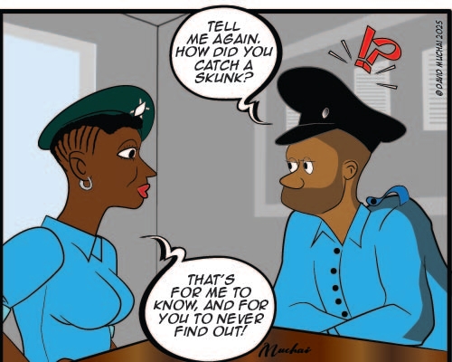 JIJI NDOGO: A zebra is just a striped donkey