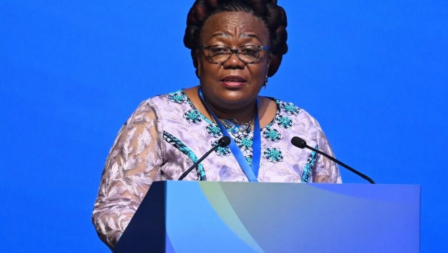 DRC seeks cooperation with Russia to 'boost' development