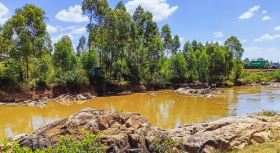 Missing woman found dead in River Nzoia