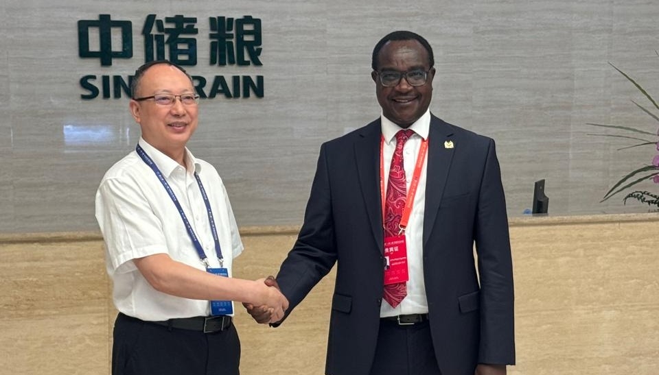 Kenya eyes China grain storage success to boost food security