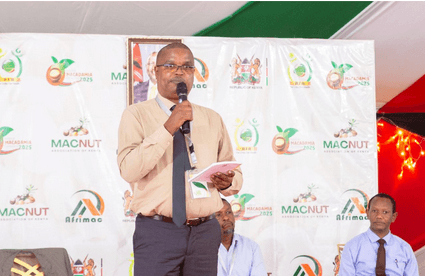 Kenya eyes home market with push for increased macadamia consumption