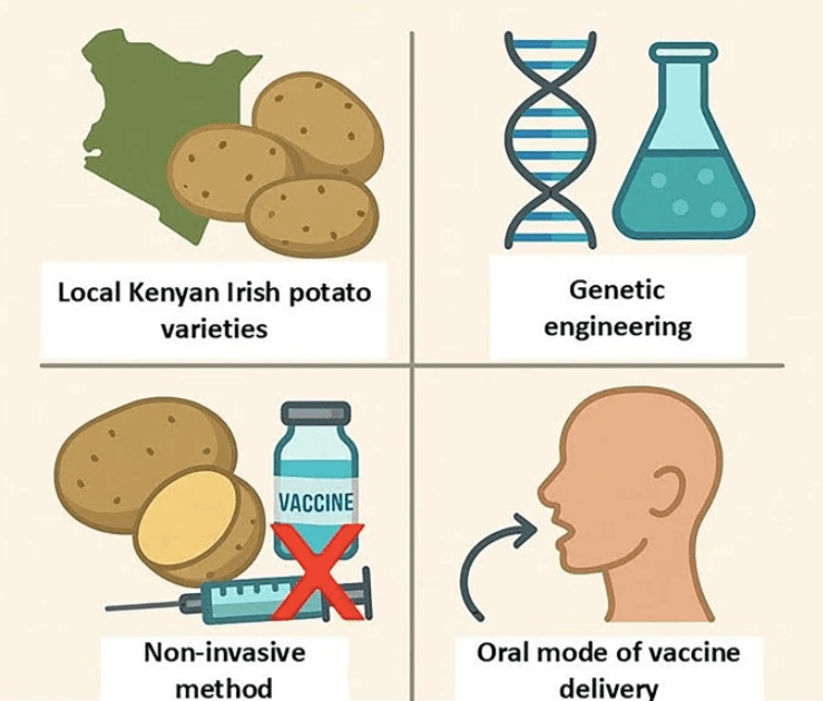 From lab to reality: What you should know about edible vaccines