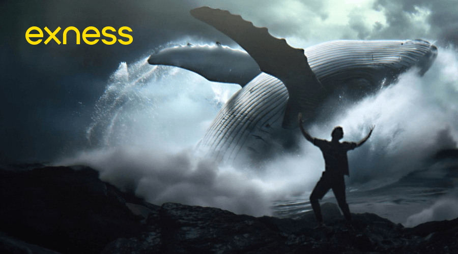 Exness launches bold new global campaign, putting traders at the heart of the story