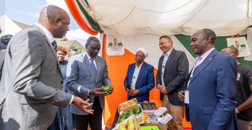 Ruto calls for urgent activation of SEZ to curb unemployment