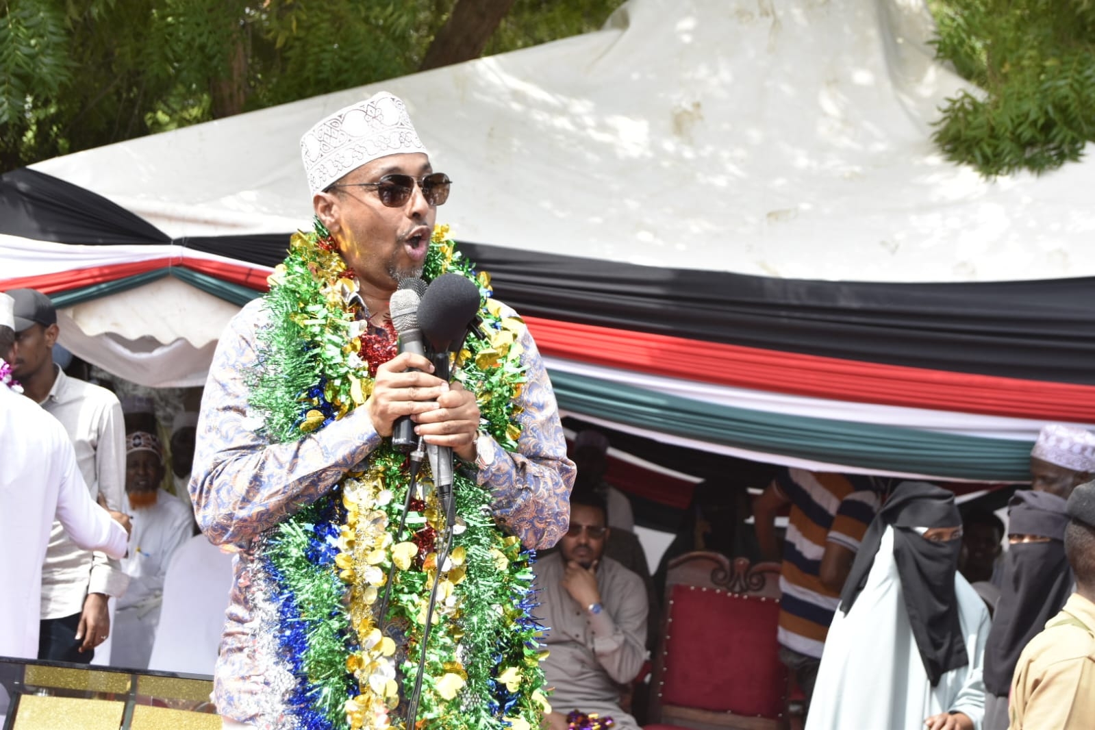 Resource misuse stalls Northeastern — envoy