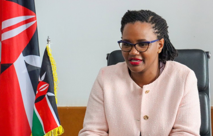 Evacuation plans for Kenyans in Israel and Iran underway - PS Njogu