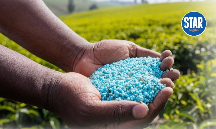 Most counterfeited goods in the agricultural sector in Kenya