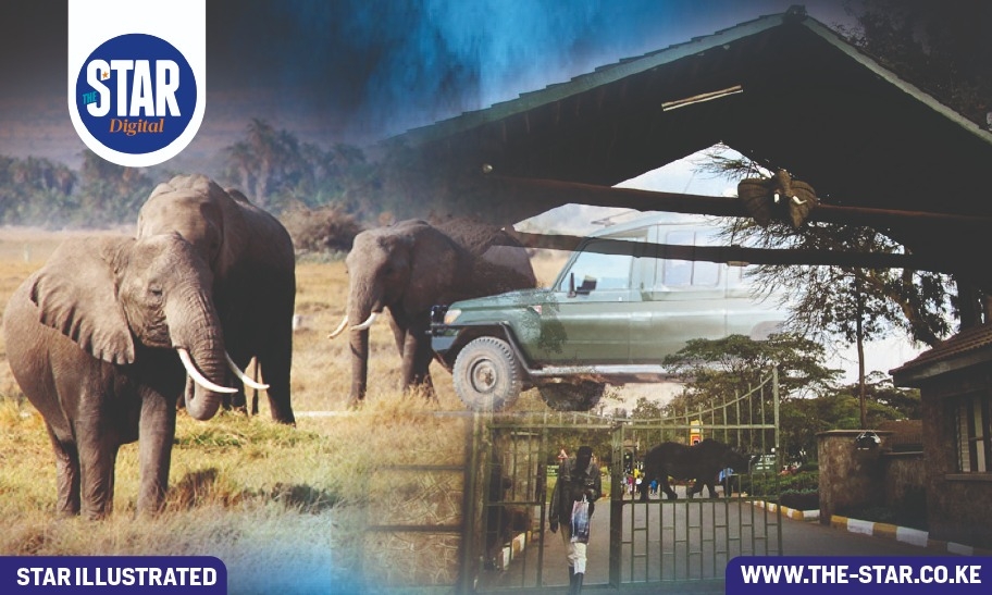 What is proposed in parks, conservation fees review