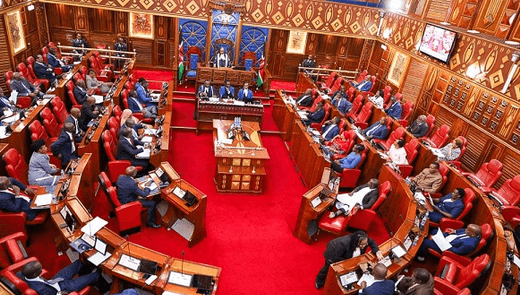 Parliament Review: Guyo survives ouster as MPs debate digital finance