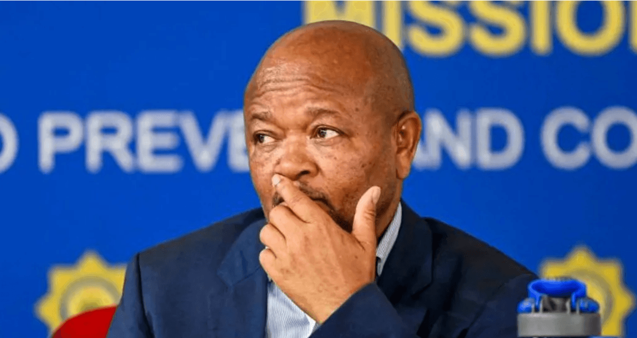 South Africa's police minister accused of links to criminal gangs
