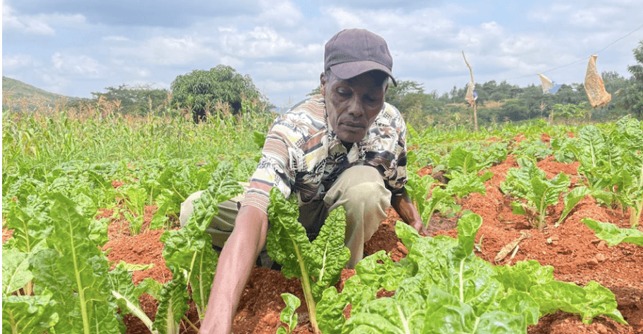 How Wautu Kyangaati sand dam water project in Makueni is touching lives