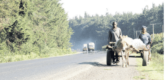 New fi rm bids for Rironi-Mau Summit road