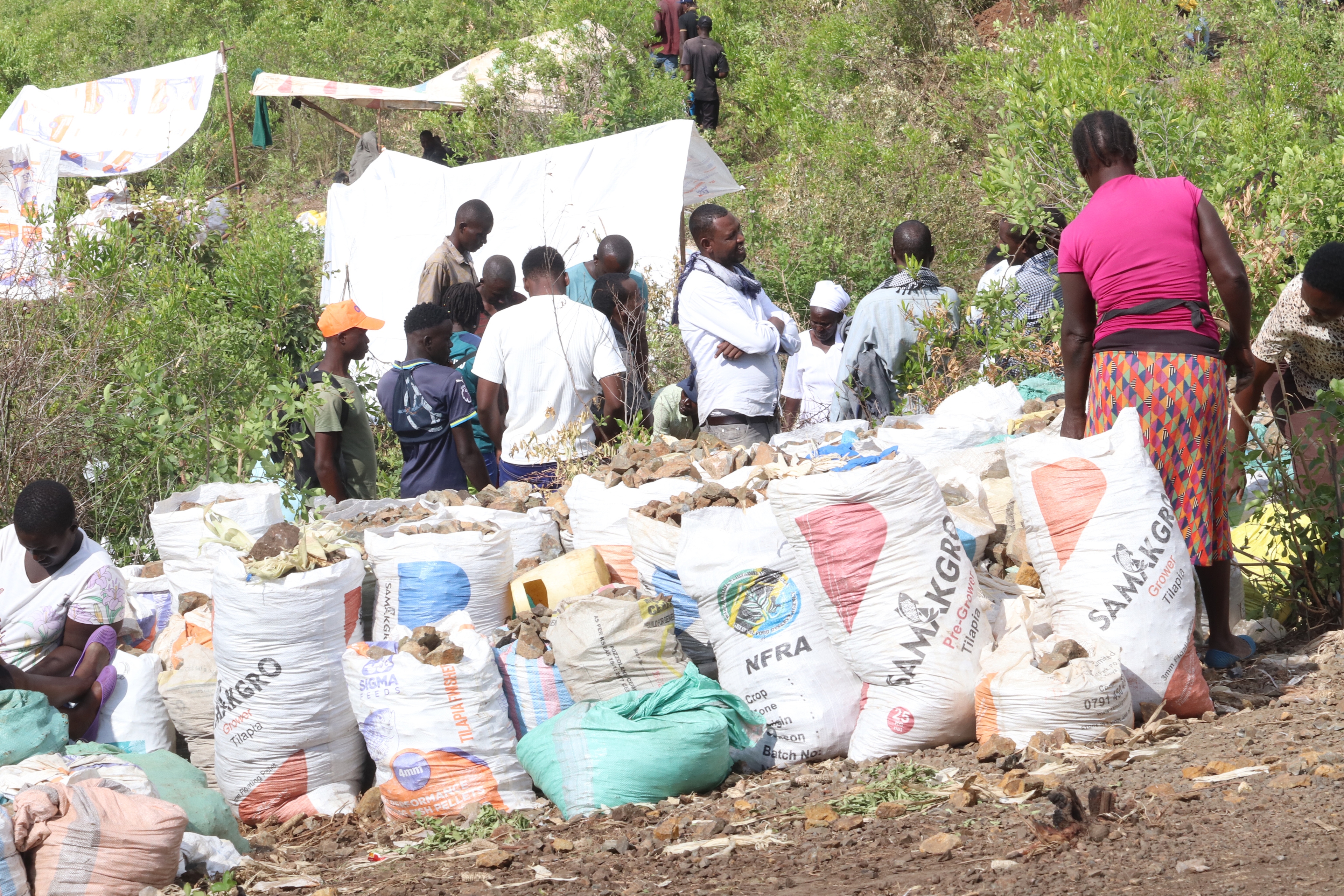 Homa Bay residents abandon fishing in mad rush for gold mining