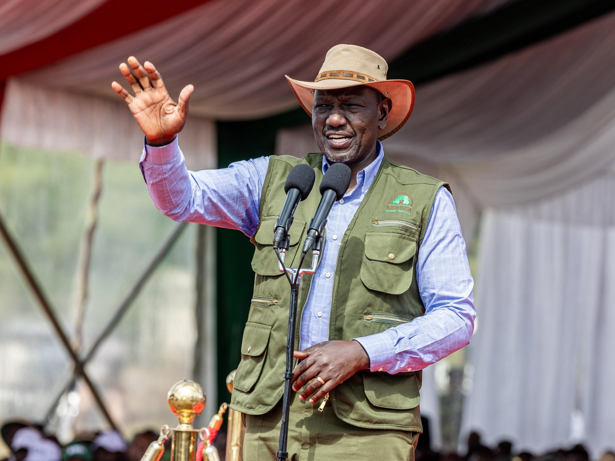 Ruto: Demos are tainting Kenya's global image