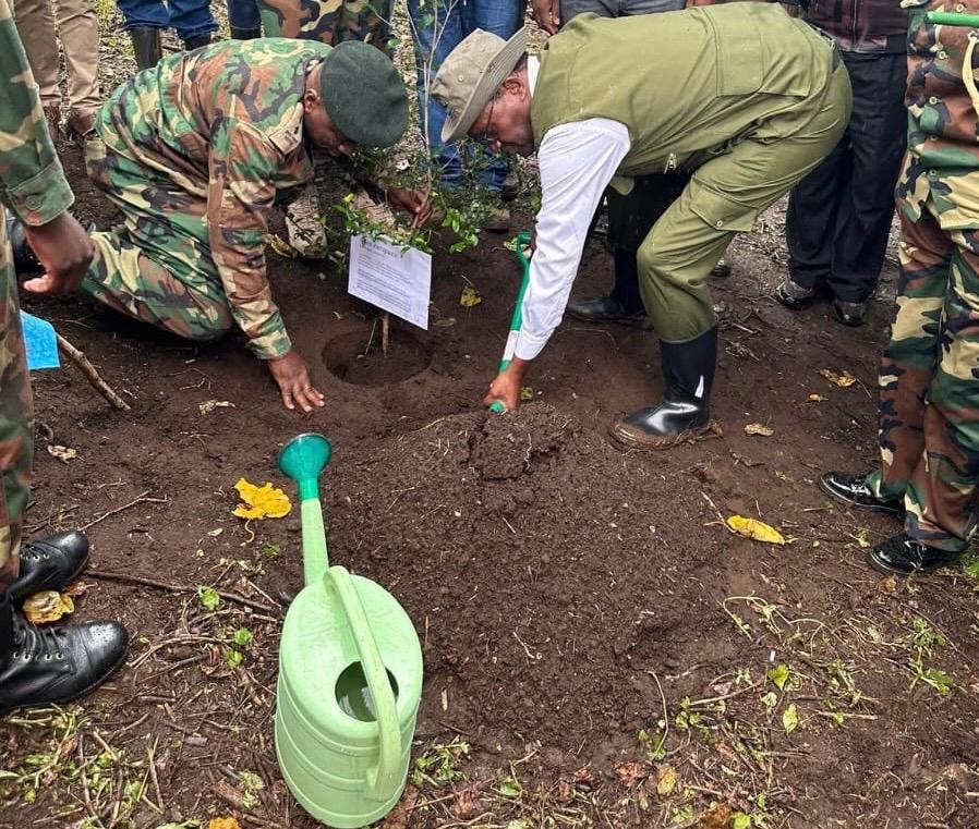Over 2,500 hectares reclaimed as communities embrace Kaptagat Forest conservation